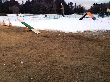 雪かき後.jpg